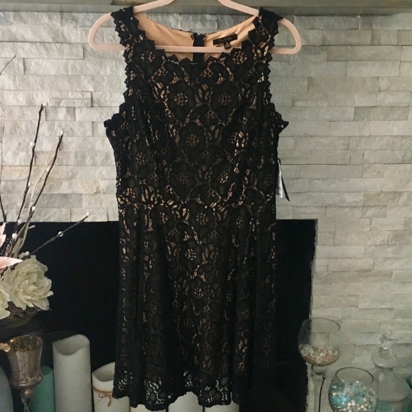 beautiful black lace dresses